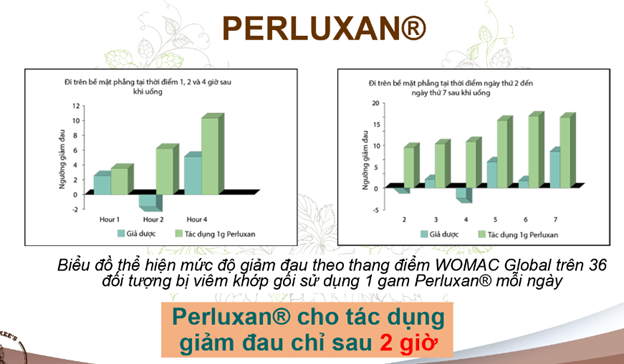 Perluxan – Dưỡng chất “khắc tinh” của bệnh khớp